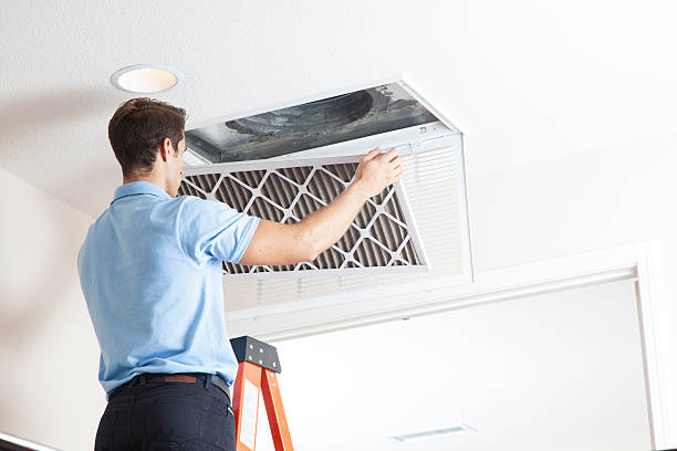Best Solar-powered HVAC Systems in Edwardsburg, MI